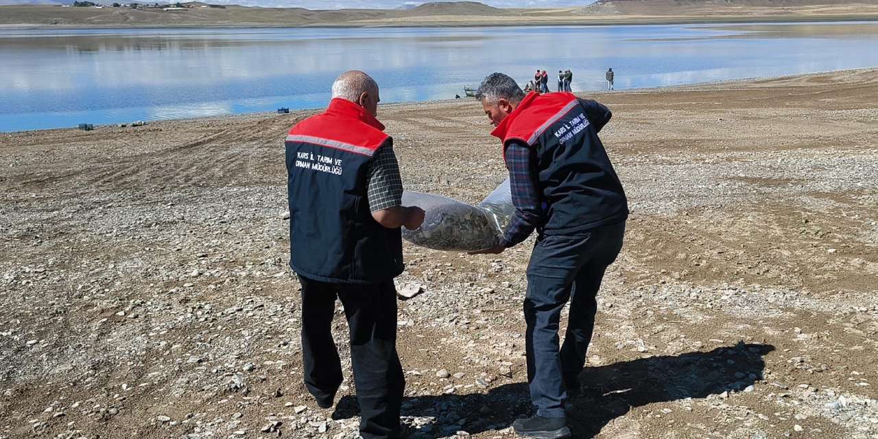 500 bin yavruyu göle attılar: Poşetlere koyup taşıdılar