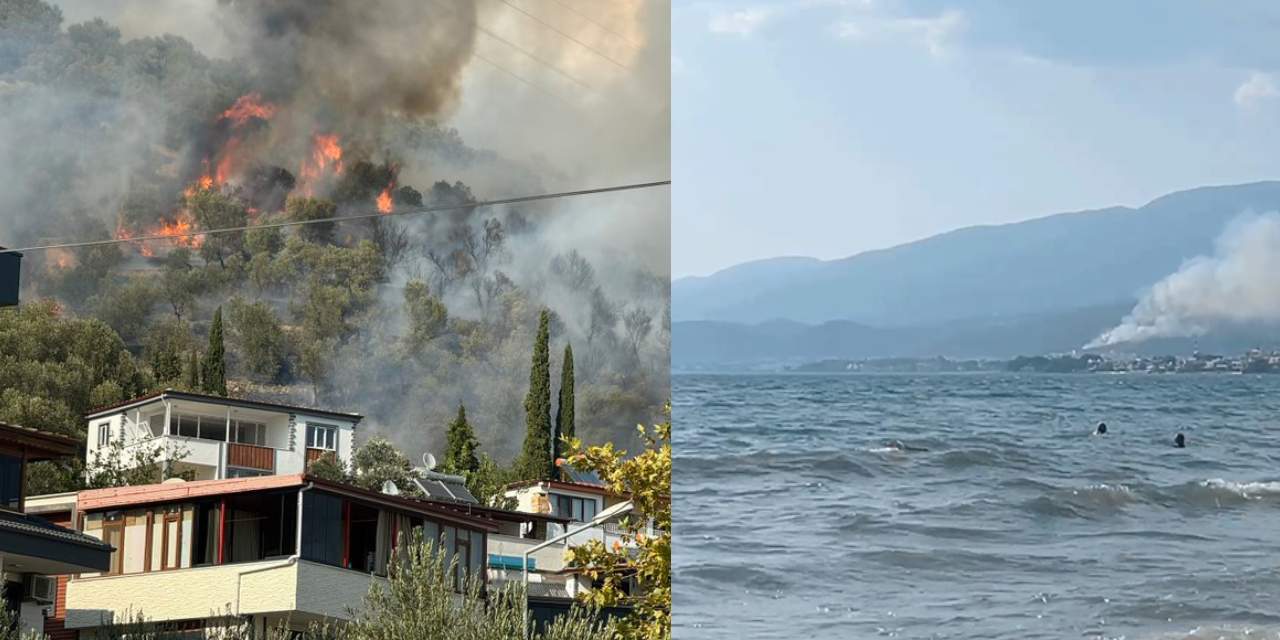 Son dakika | Edremit'te orman yangını
