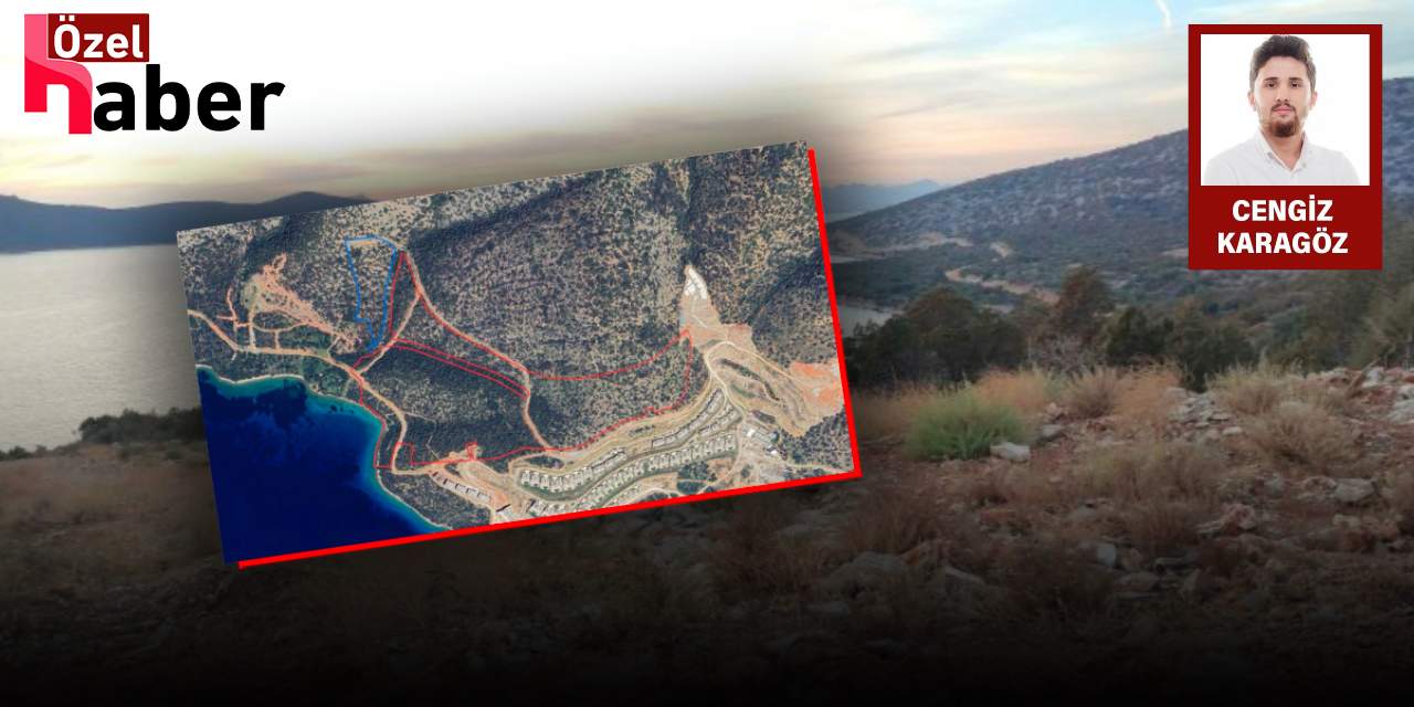 Kalyon Holding Bodrum için kolları sıvadı: Doğal sit alanına otel dikecek!