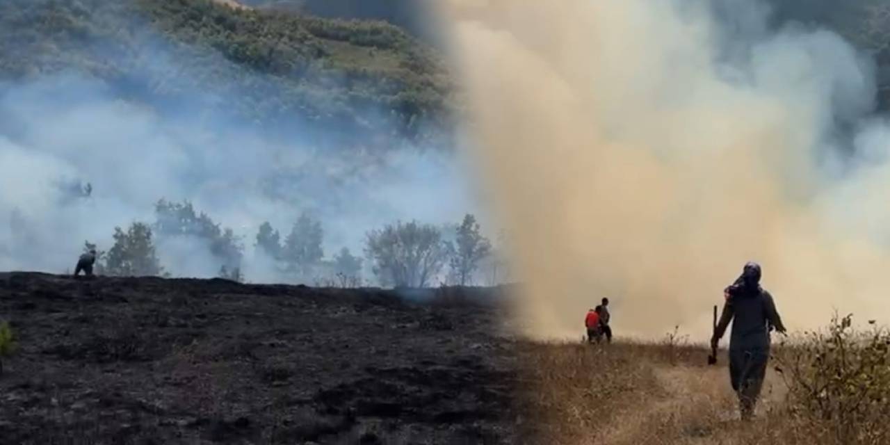 Bahçede çıkan yangın 1 saatte onlarca dönüm alanı yok etti!