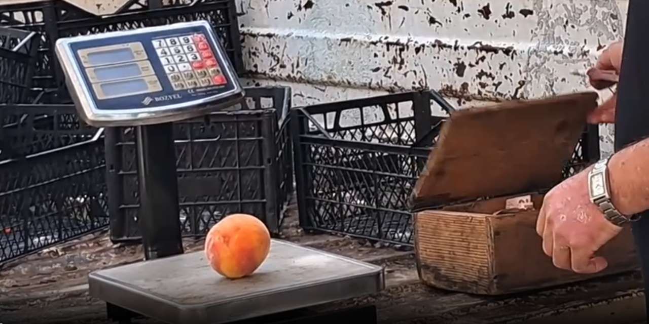 Tanesi 44 lira: Al da ye, nasıl alıp yiyeceksen