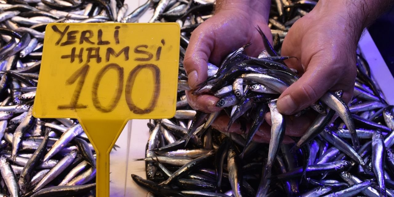 Sezon açıldı: Hamsinin kilosu 100 lira!