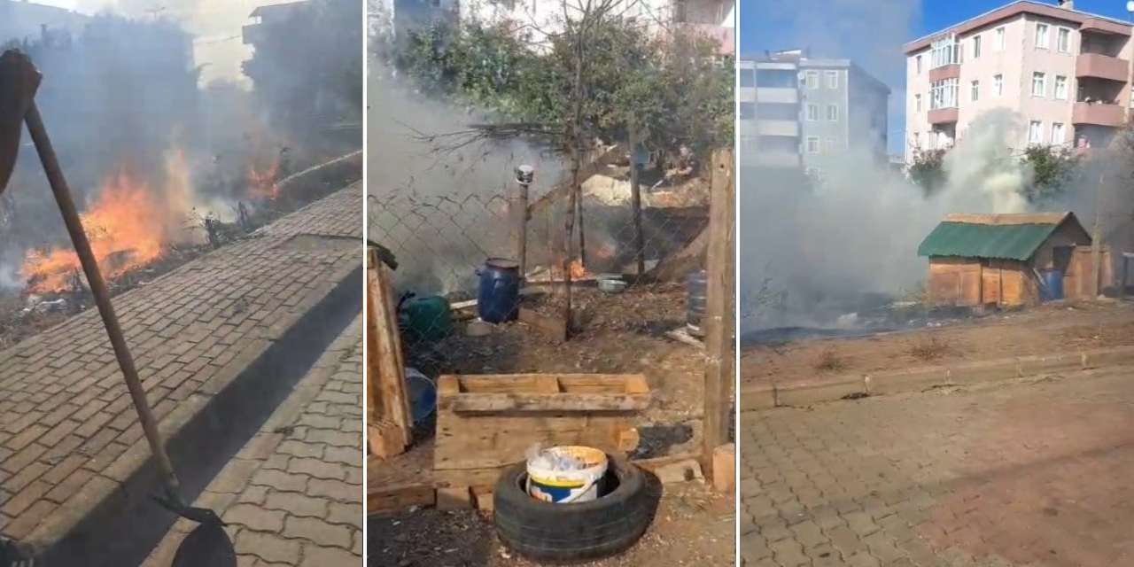 Kümese sıçrayan yangında çok sayıda güvercin öldü