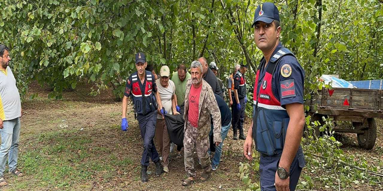 Fındık ağacı ile teker arasına sıkışan sürücü hayatını kaybetti