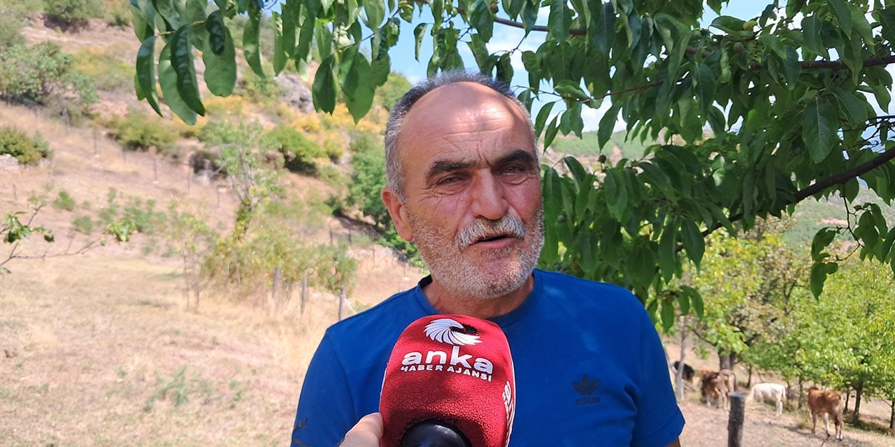 Şap hastalığıyla tek başına kalan üreticinin isyanı: Yetkililer sadece hayvanlarımızı gömmeye geliyor