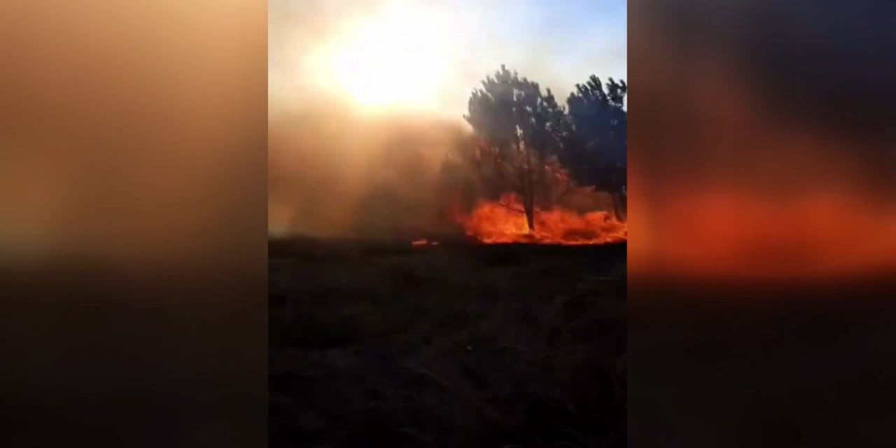 Otluk alandaki yangın ormana sıçradı