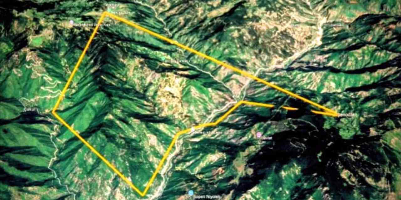 Şavşat'ta orman kıyımına onay çıktı!