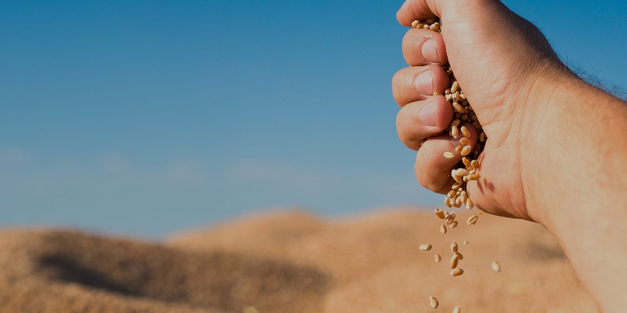 100 milyar dolarlık pazar: Hedef dünya liderliği