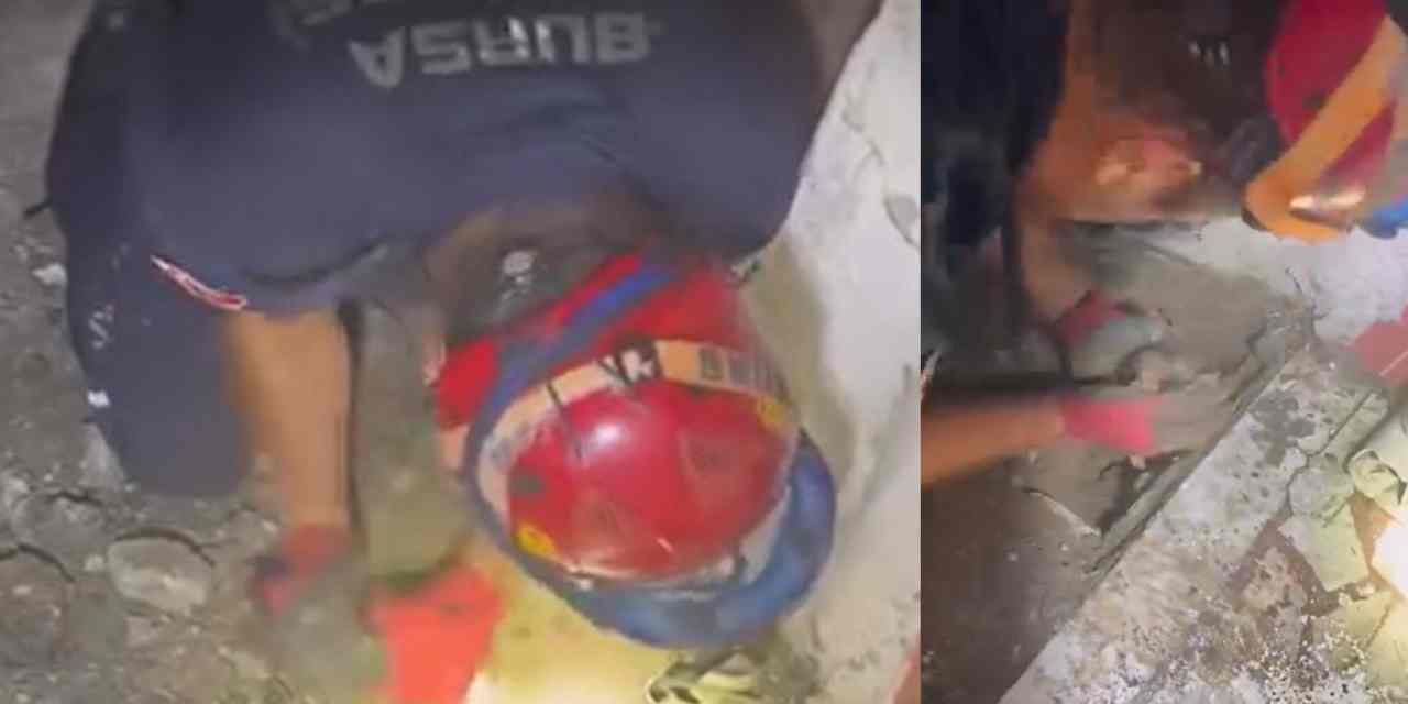 Yavru kedi için seferber oldular!