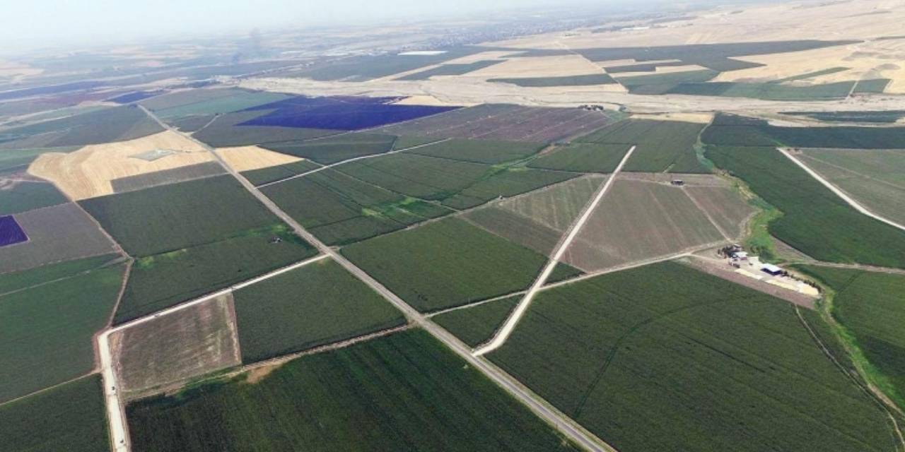 1962'de açılan miras davası karara bağlandı