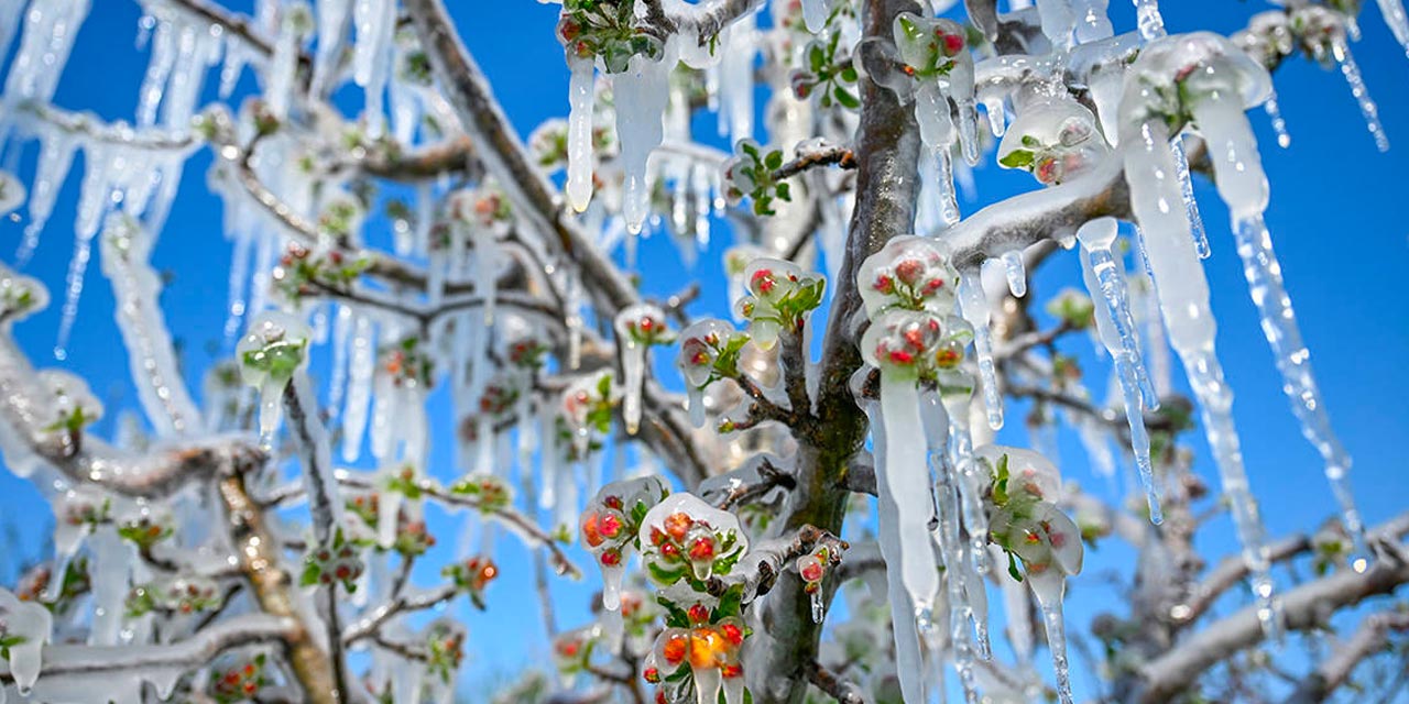 İktidarın 'don desteğini' yerden yere vurdu