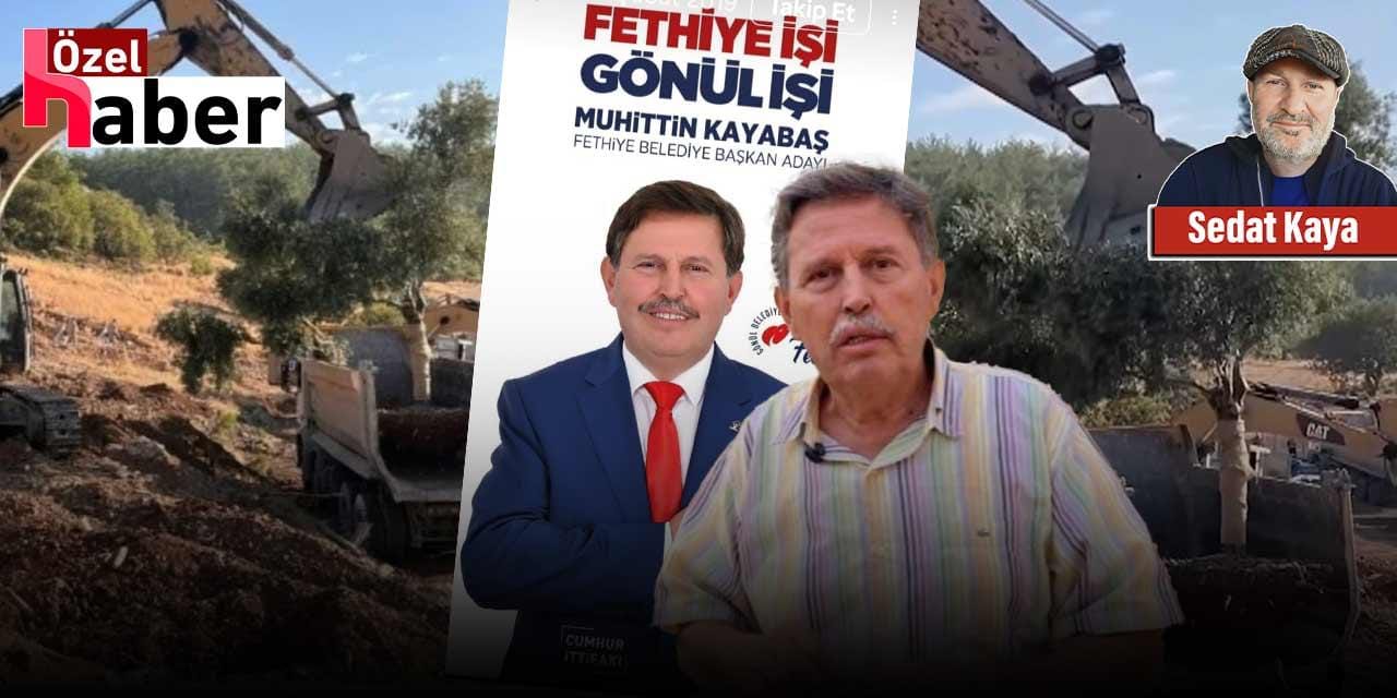 Akbelen'de zeytinleri söktüren kişi AKP'li çıktı