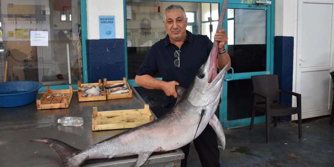 Ege'de çıkan balıklar şoke etti: Balıkçılar şaşkına döndü