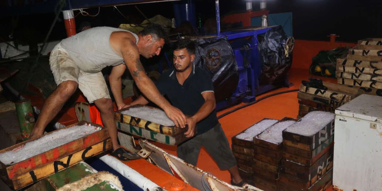 1 kilo parasına kasayla aldılar: Çeşit çeşit satıldı