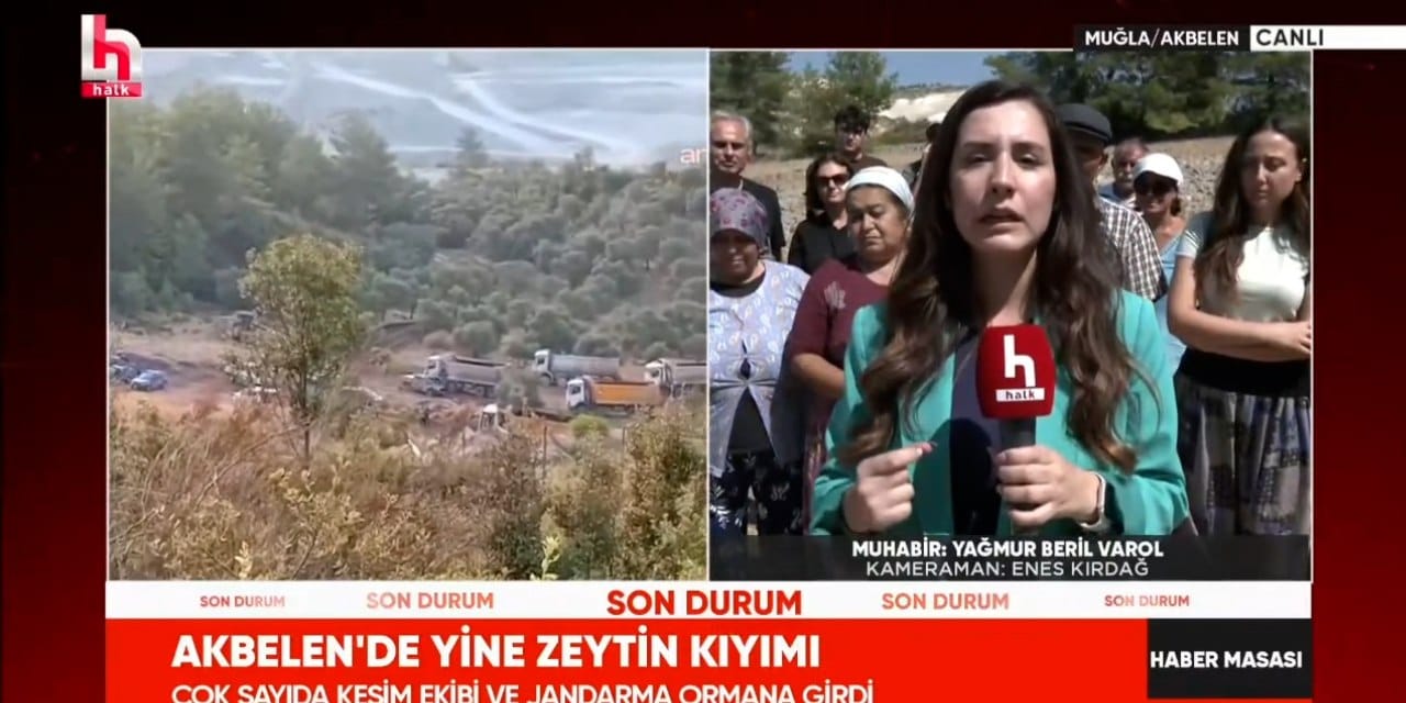 İşte tek cümle ile Akbelen gerçeği! "Kalan ağaçlar jandarma gölgede dursun diye kesilmedi"