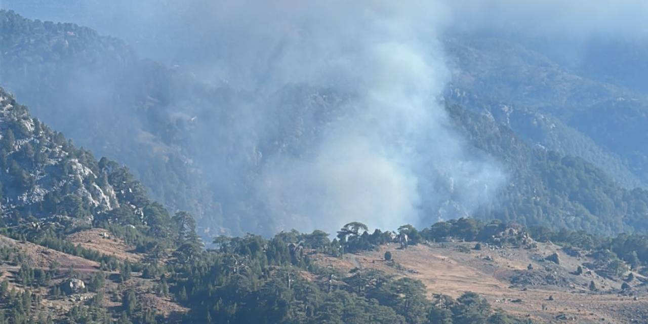 Köyceğiz'de orman yangını!