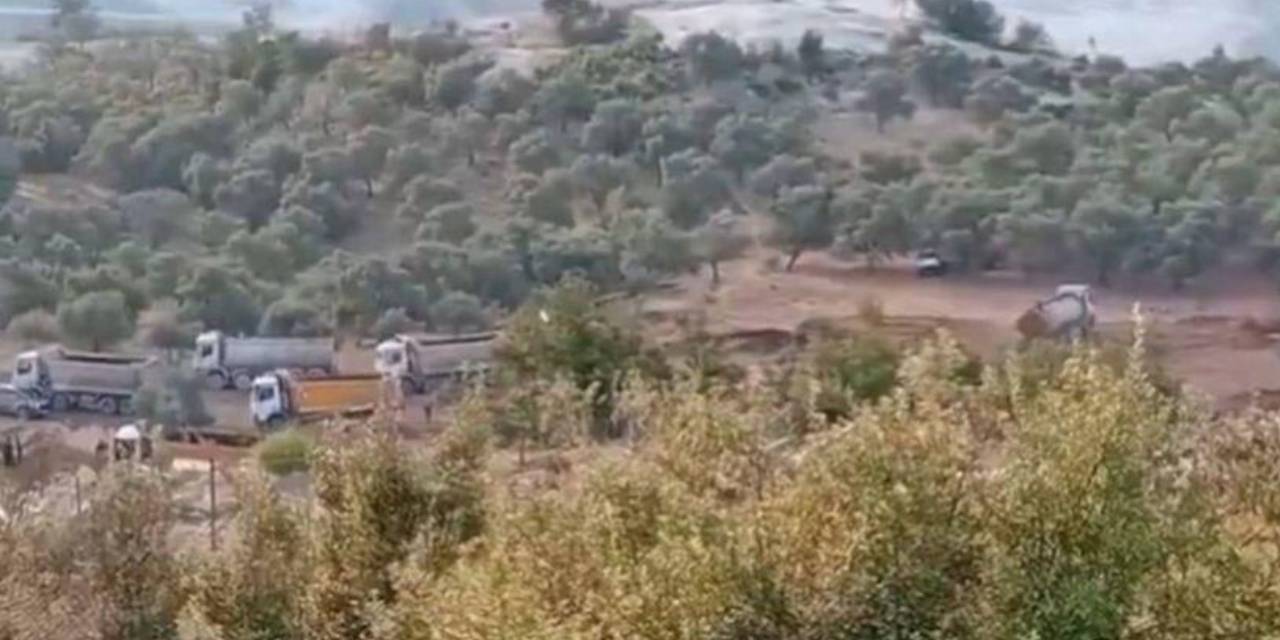 Akbelen'de zeytinlikleri söktüren şirkete devletten yüz milyonlarca liralık teşvik!