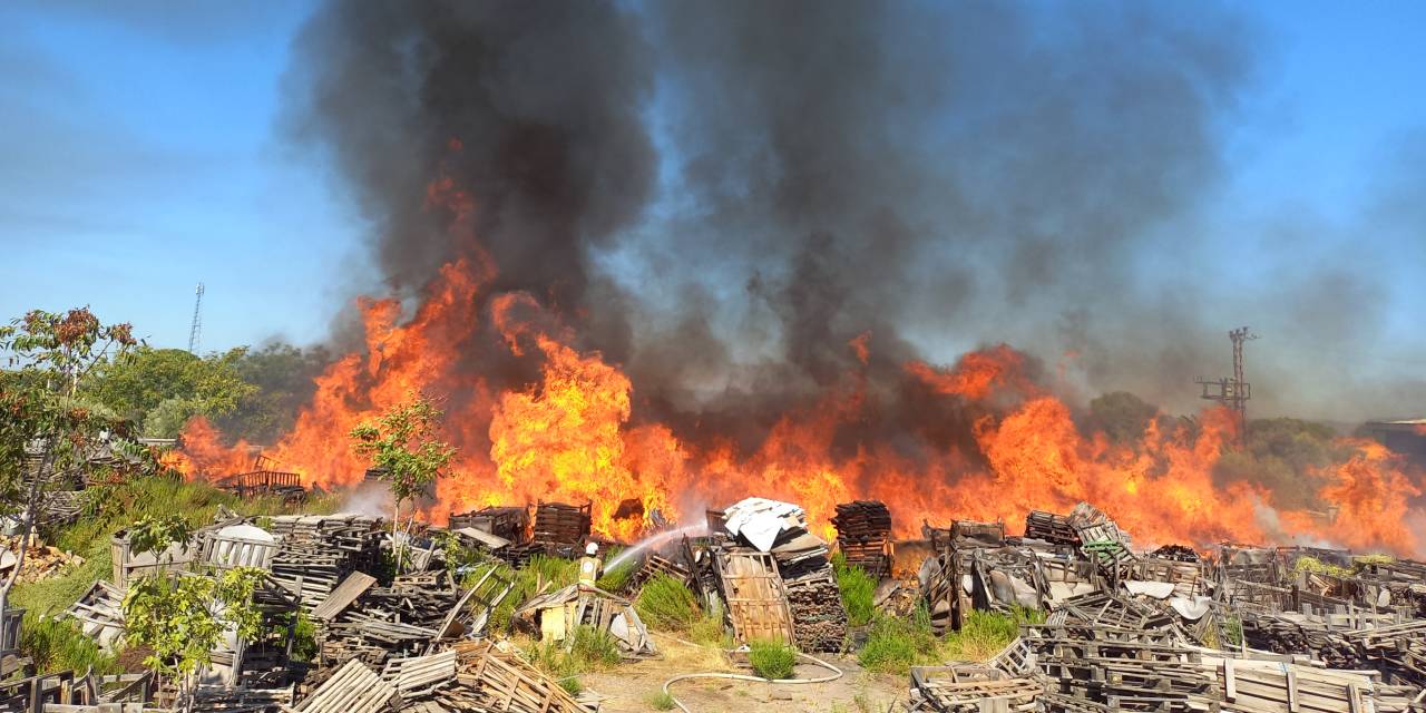 Manisa'da palet fabrikasında yangın!