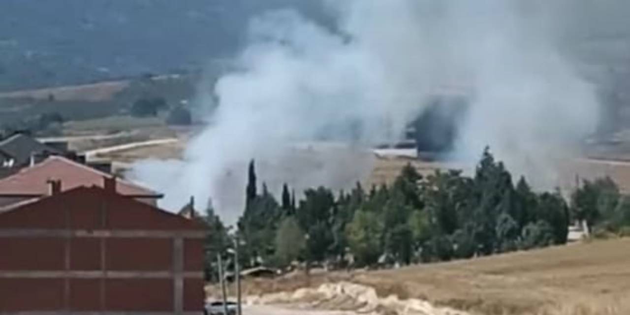 Bursa'da anız yangını: 30 dönüm alan küle döndü