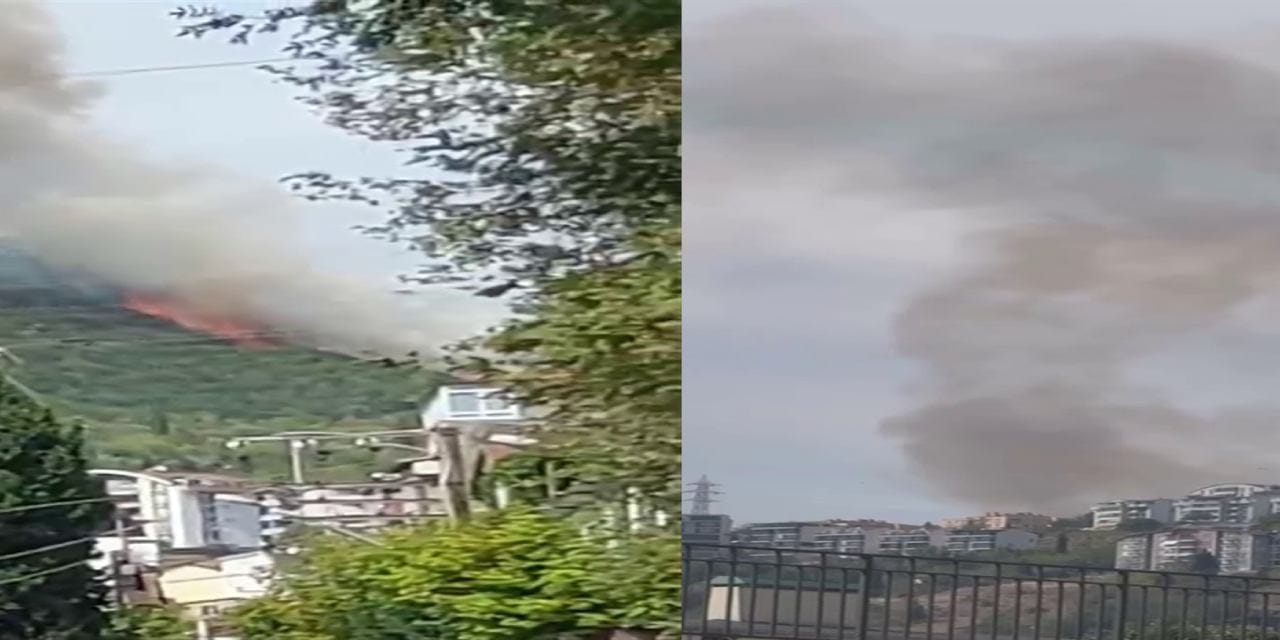 İzmit'te ormanlık alan alev aldı!