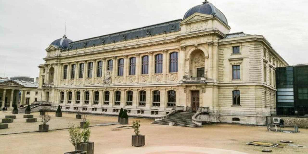 Başkentte müze soygunu: 29 milyonluk altın çalındı