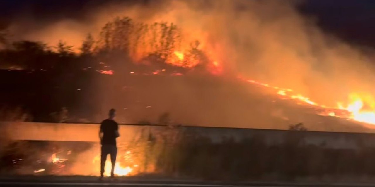 Buğday tarlasında yangın: Faciadan dönüldü