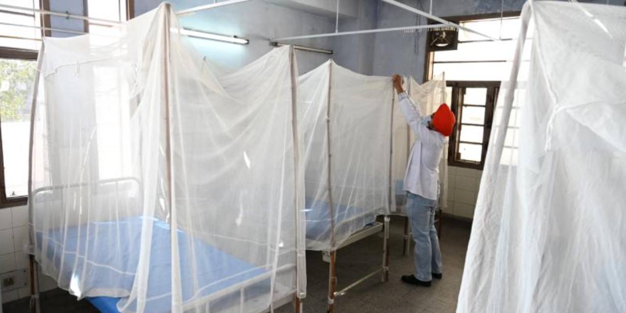 'Beyin yiyen amip' 19 can aldı!