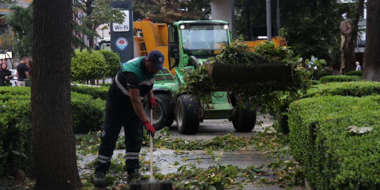 Kuvvetli rüzgar ağaçları devirdi!