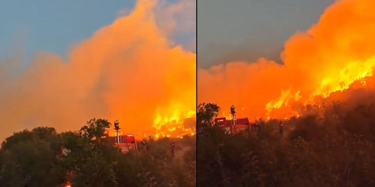 Yaz bitti kabus bitmedi! Balıkesir'de orman yangını