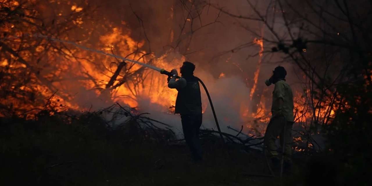 Orman yangınında ölenler şehit sayılacak: Ailelerine maaş bağlanacak