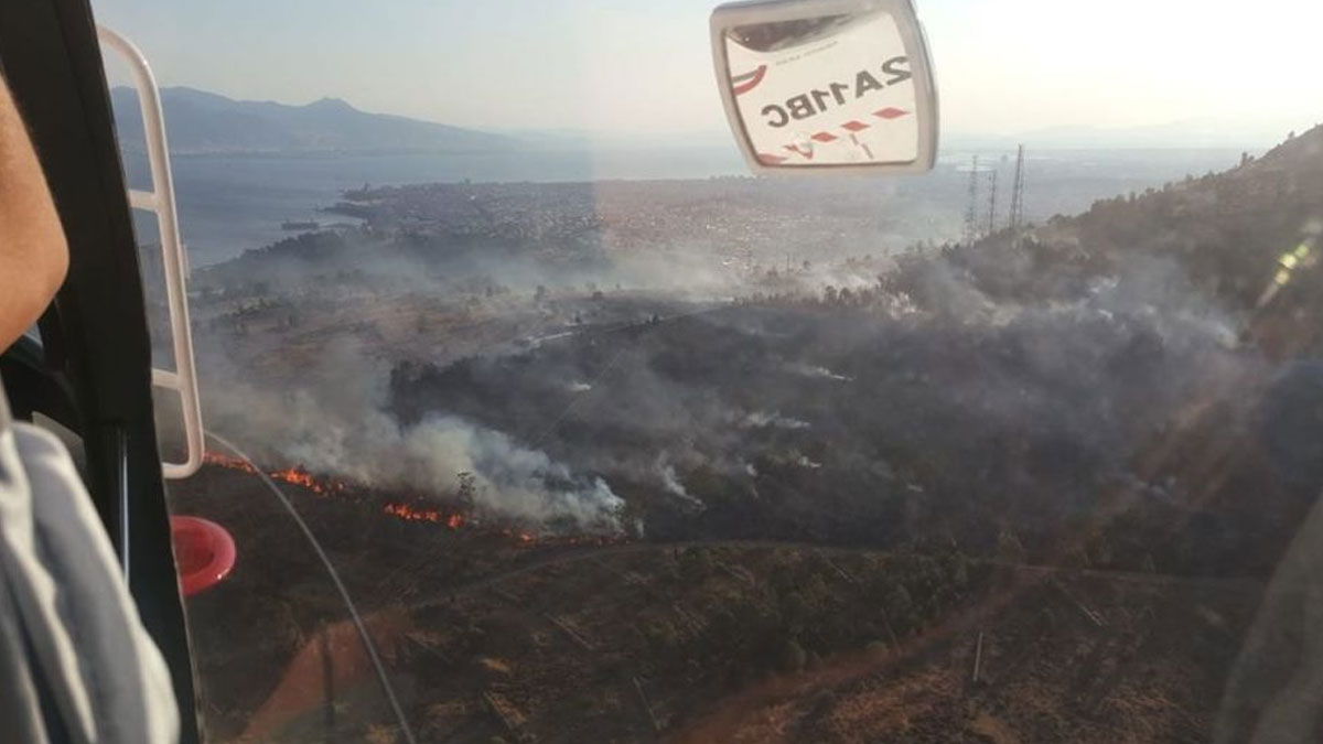 İzmir'de ağaçlandırma alanında yangın