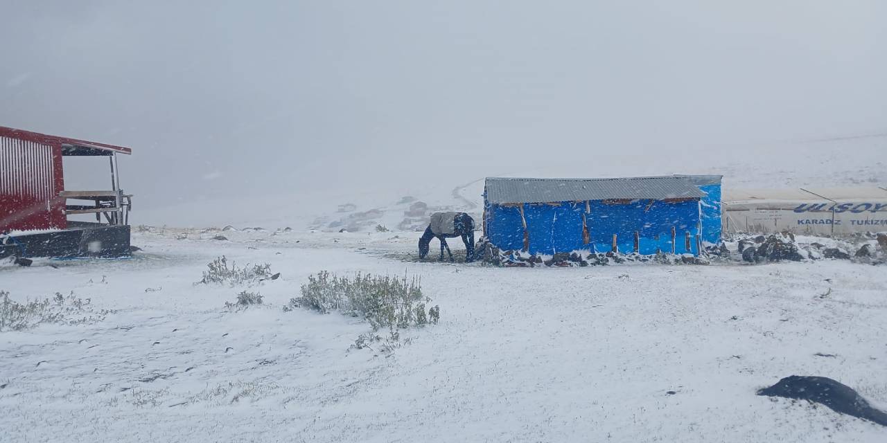 Yılın ilk karı düştü: Yaylalar beyaza büründü!
