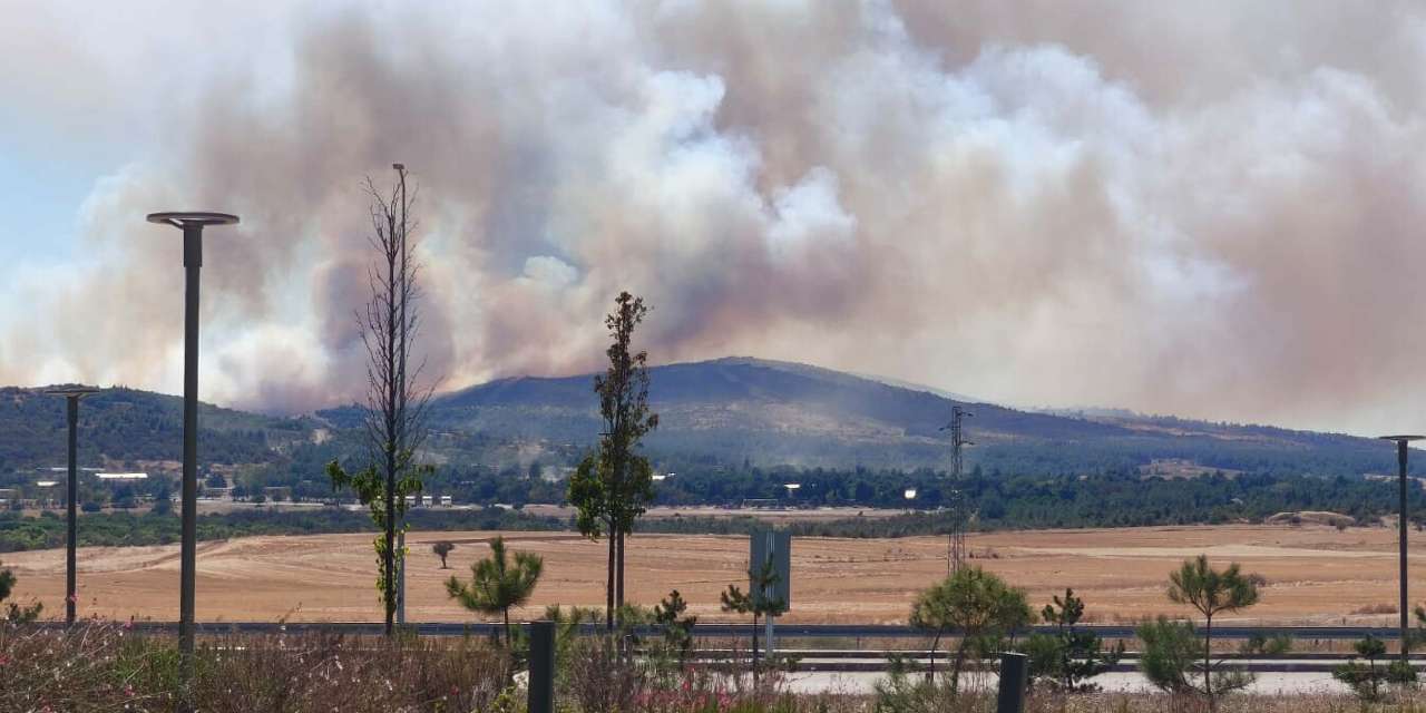 Son dakika | Çanakkale’de yangın kabusu! Tarım arazisinden ormana sıçradı