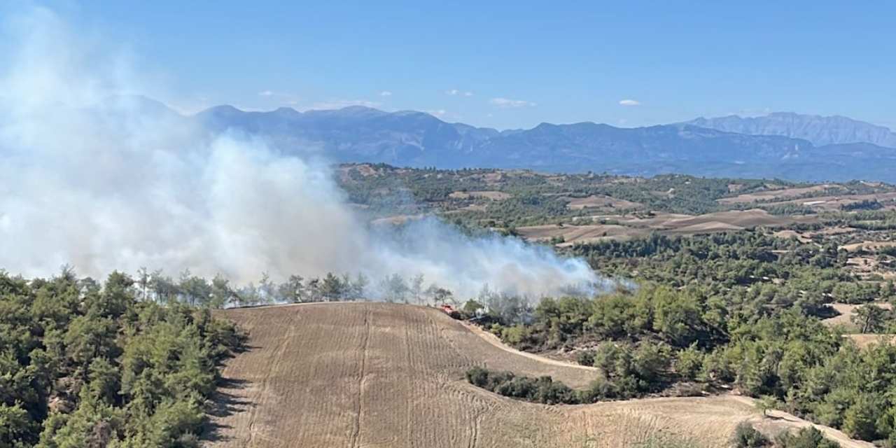 Kabus bitmiyor: Adana'da orman yangını!