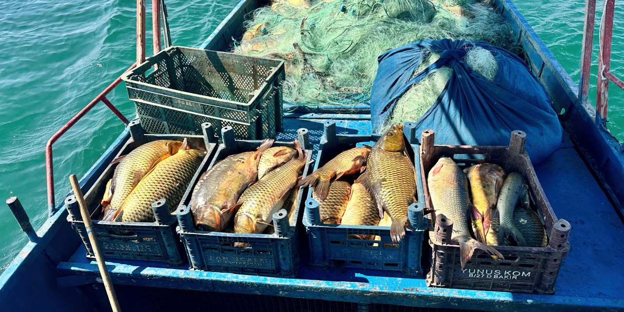 Denizi olmayan Tunceli'de balıkçılık yaparak ayda 200 bin TL kazanıyor