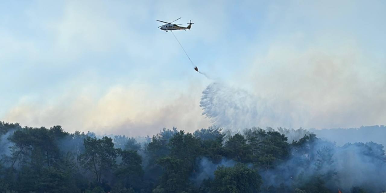Balıkesir Sındırgı'da yangın! Bağ evleri...