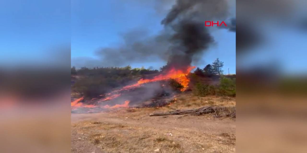 Balıkesir'de orman yangını