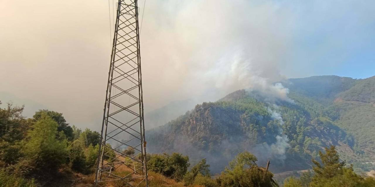 Muğla'daki yangın kontrol altında