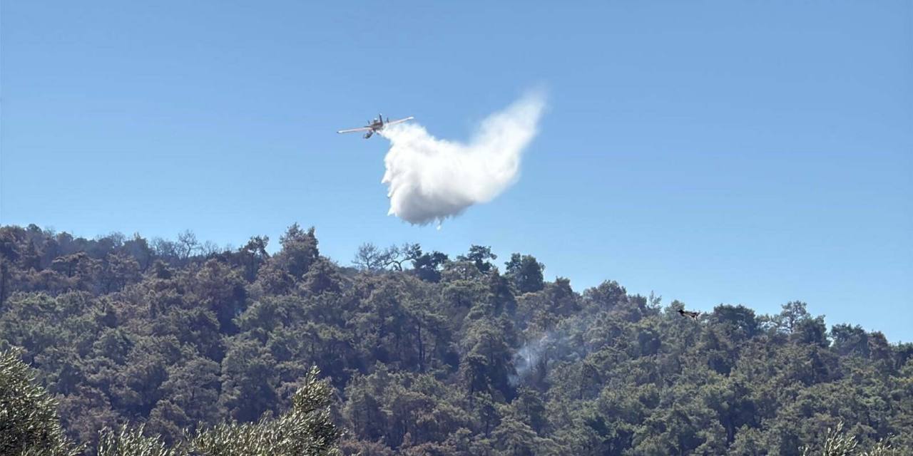 Milas'taki orman yangınında 2'nci gün