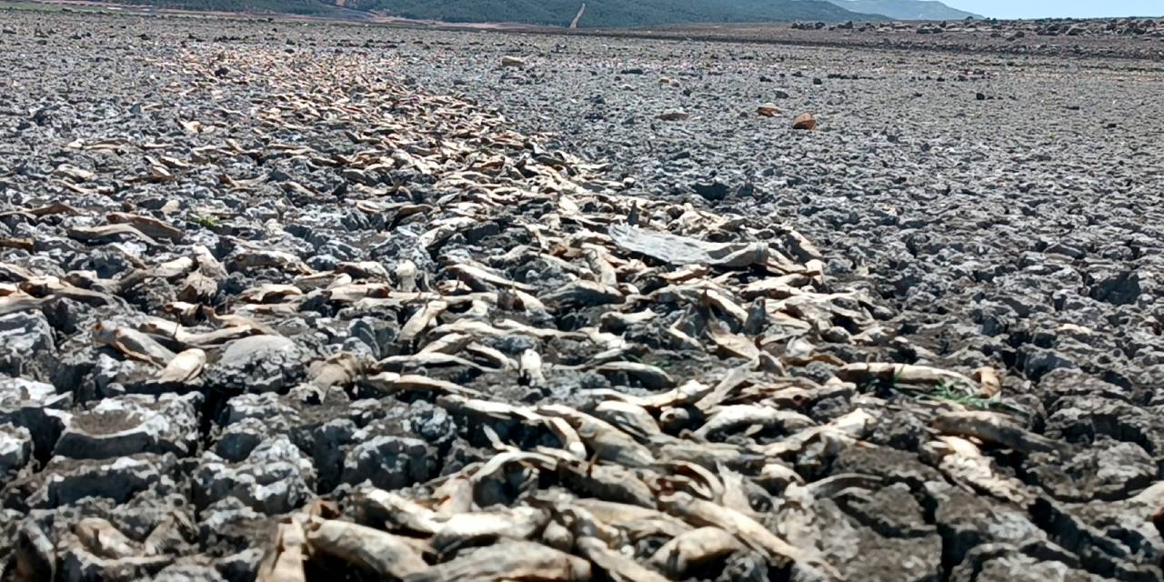 Tahtaköprü Barajı’nda su çekildi: Hamamlar Höyüğü gün yüzüne çıktı
