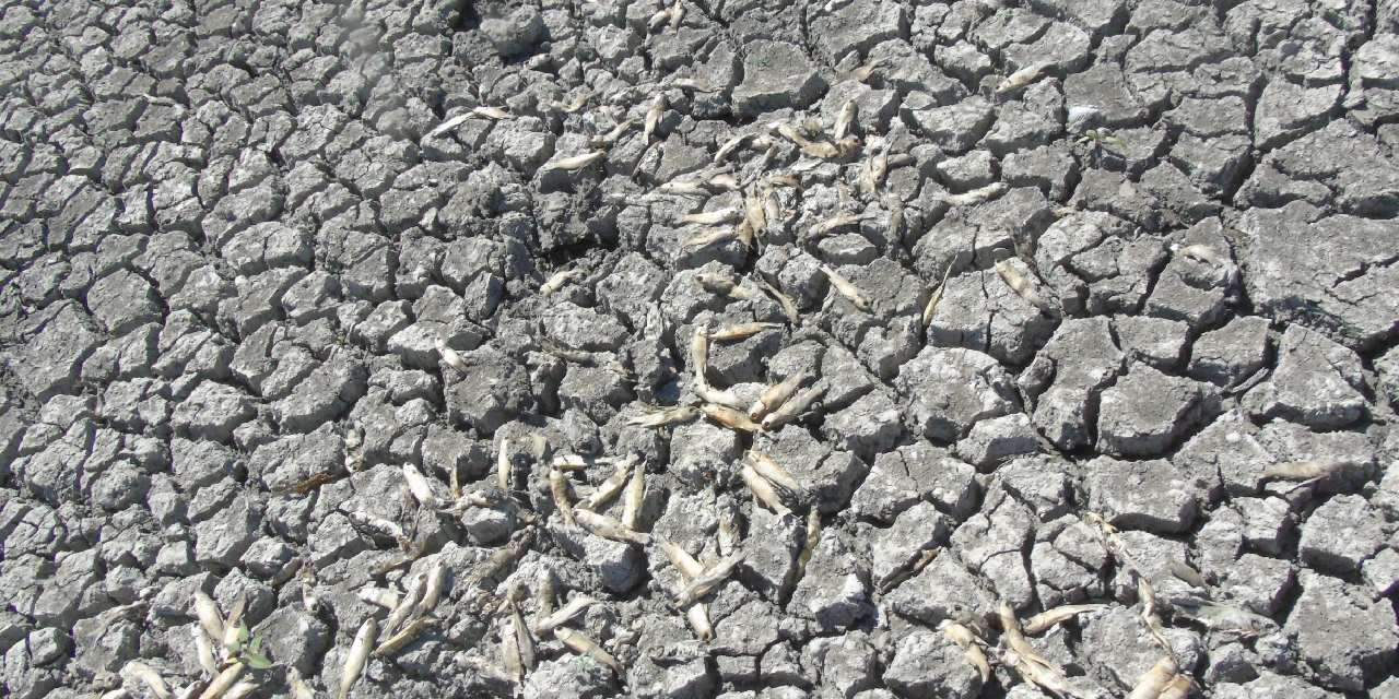 Gaziantep'te su krizi kapıda!