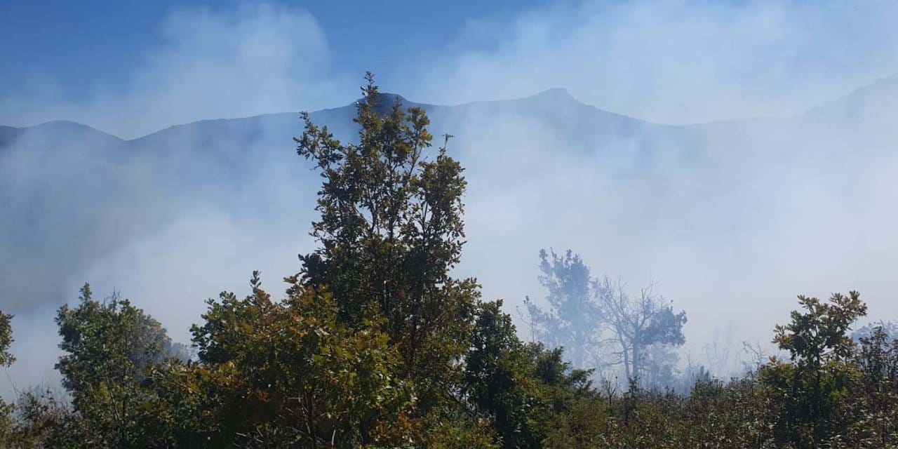 Konya'daki orman yangını korkuttu