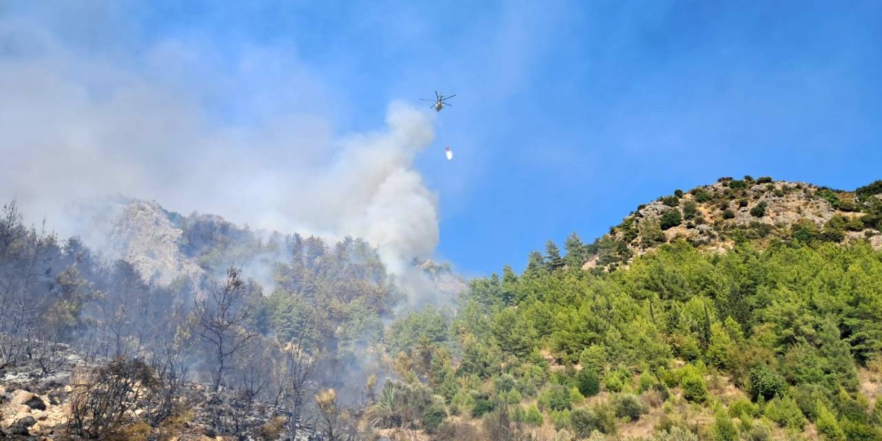 4 buçuk saat sürmüştü! Antalya'daki orman yangınına ilişkin 1 kişi gözaltına alındı