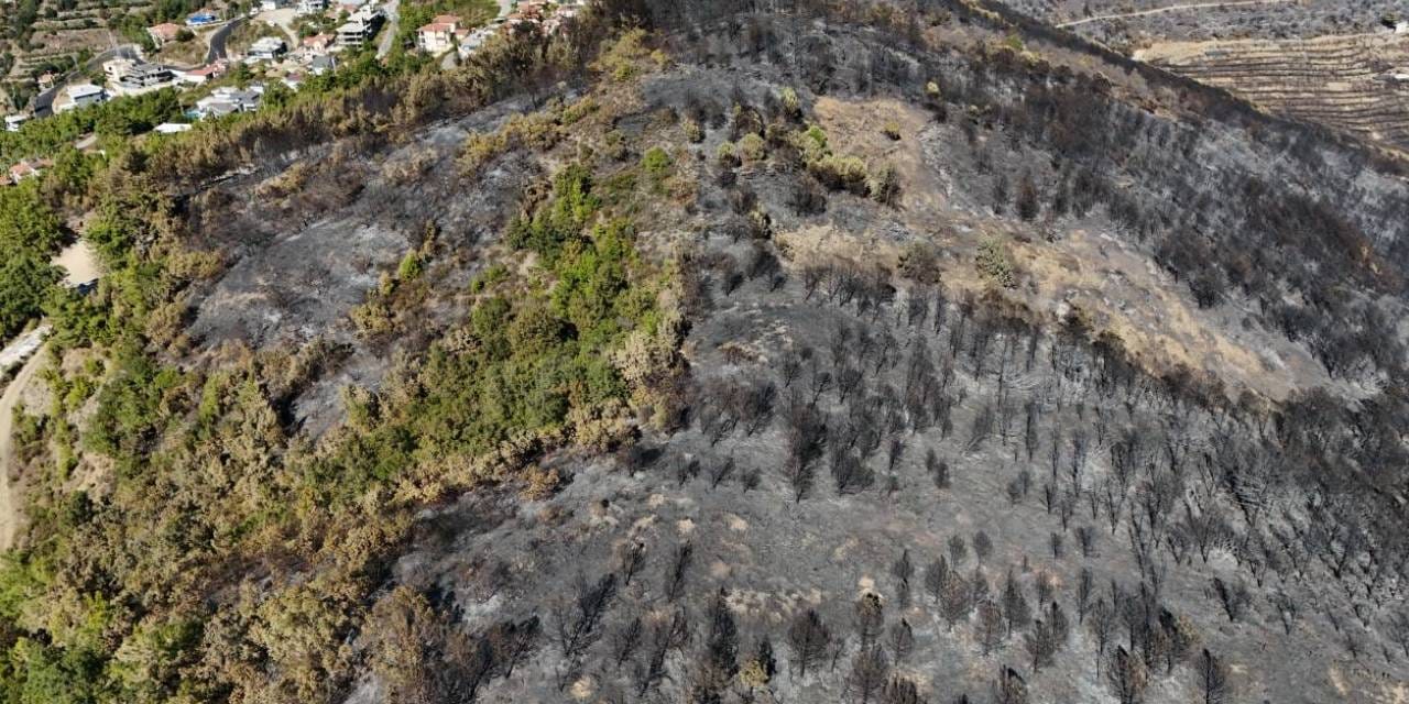 Antalya'daki orman yangınının ardından geriye gri manzara kaldı