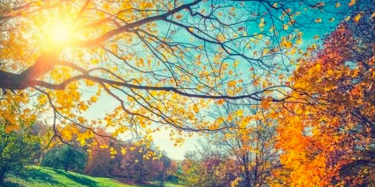 Resmen bitti! Dönüşüm başladı: Meteoroloji şiddetli yağış için yeni tarih verdi