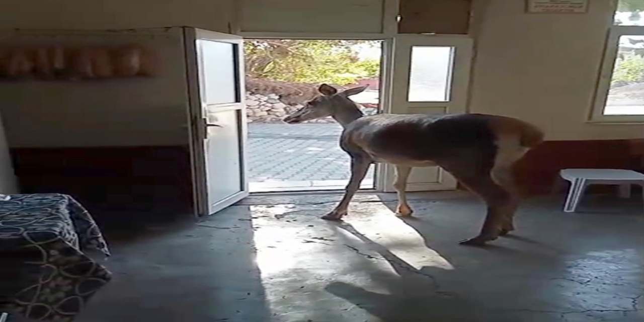 Köy kahvehanesine sürpriz ziyaret