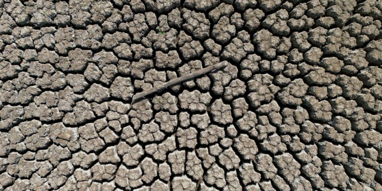 Kırklareli'nde kuraklık alarmı: Göletler birer birer kuruyor!