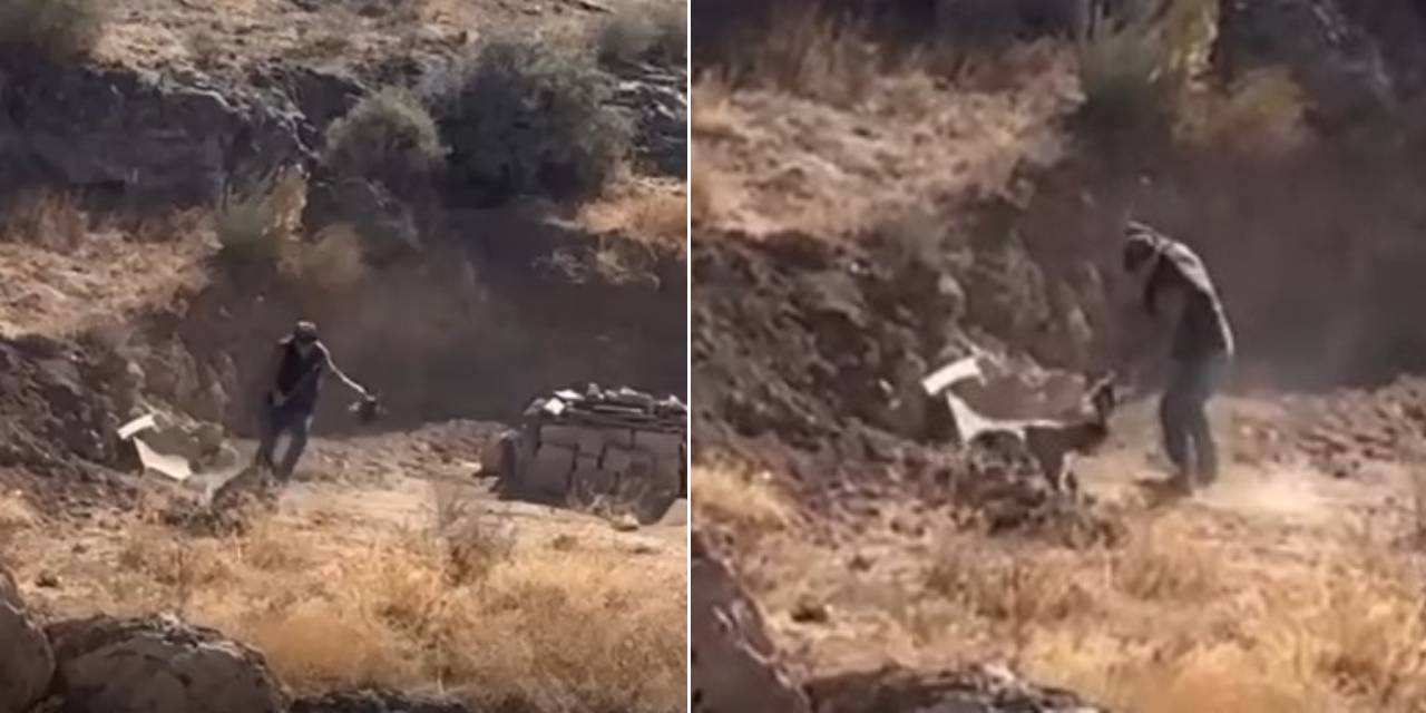 4 aylık yavru köpeğe sopalı işkence! Vicdansız adam gözaltına alındı