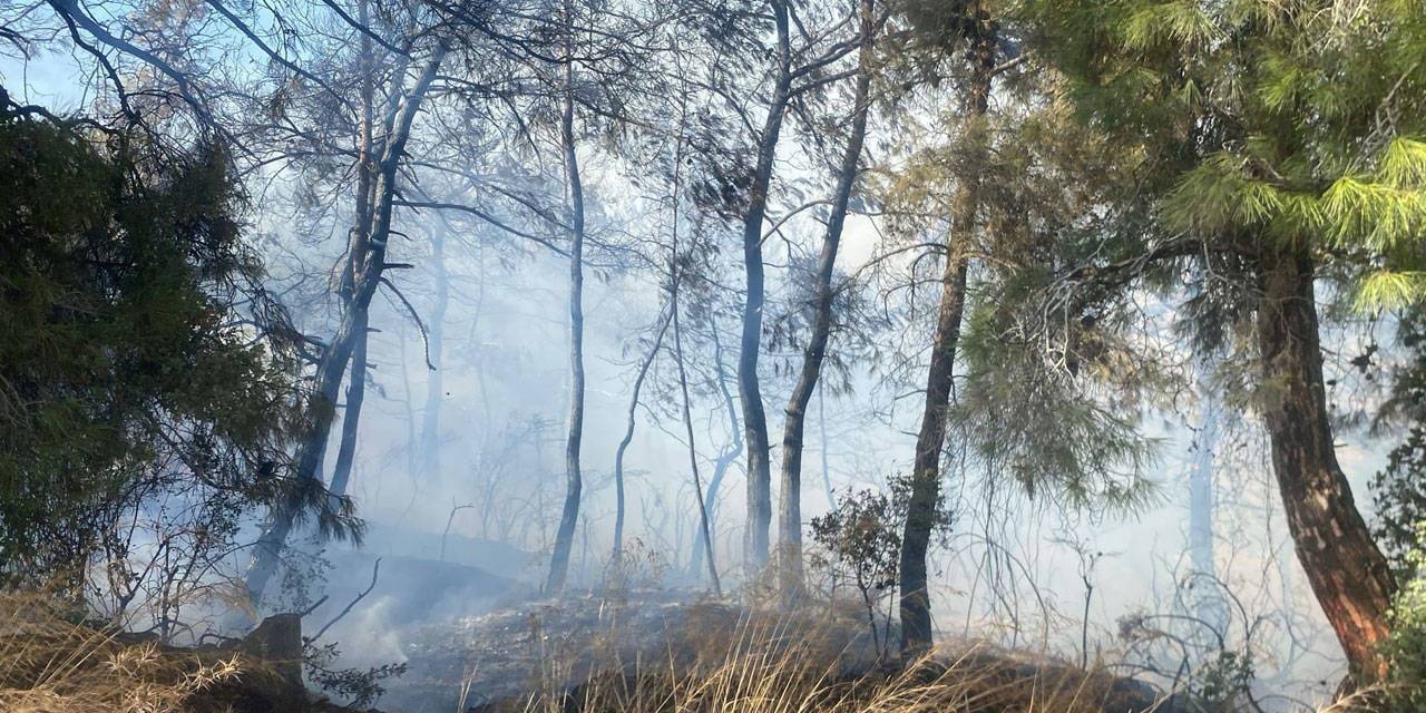 Manavgat’ta tarım arazisinde çıkan yangın ormana sıçradı