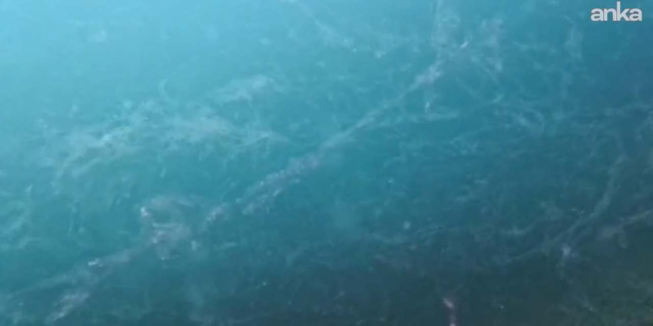 Marmara'da korkulan senaryo 1 ay içinde yaşanabilir: Uzmanlar uyardı!